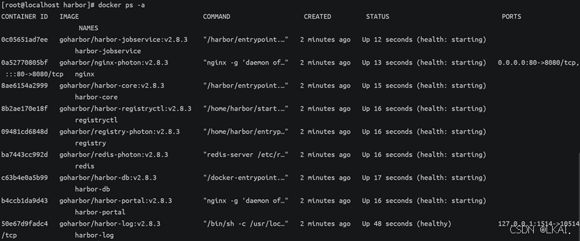 Docker镜像仓库_dockerhub国内仓库