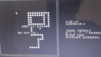 文章图片