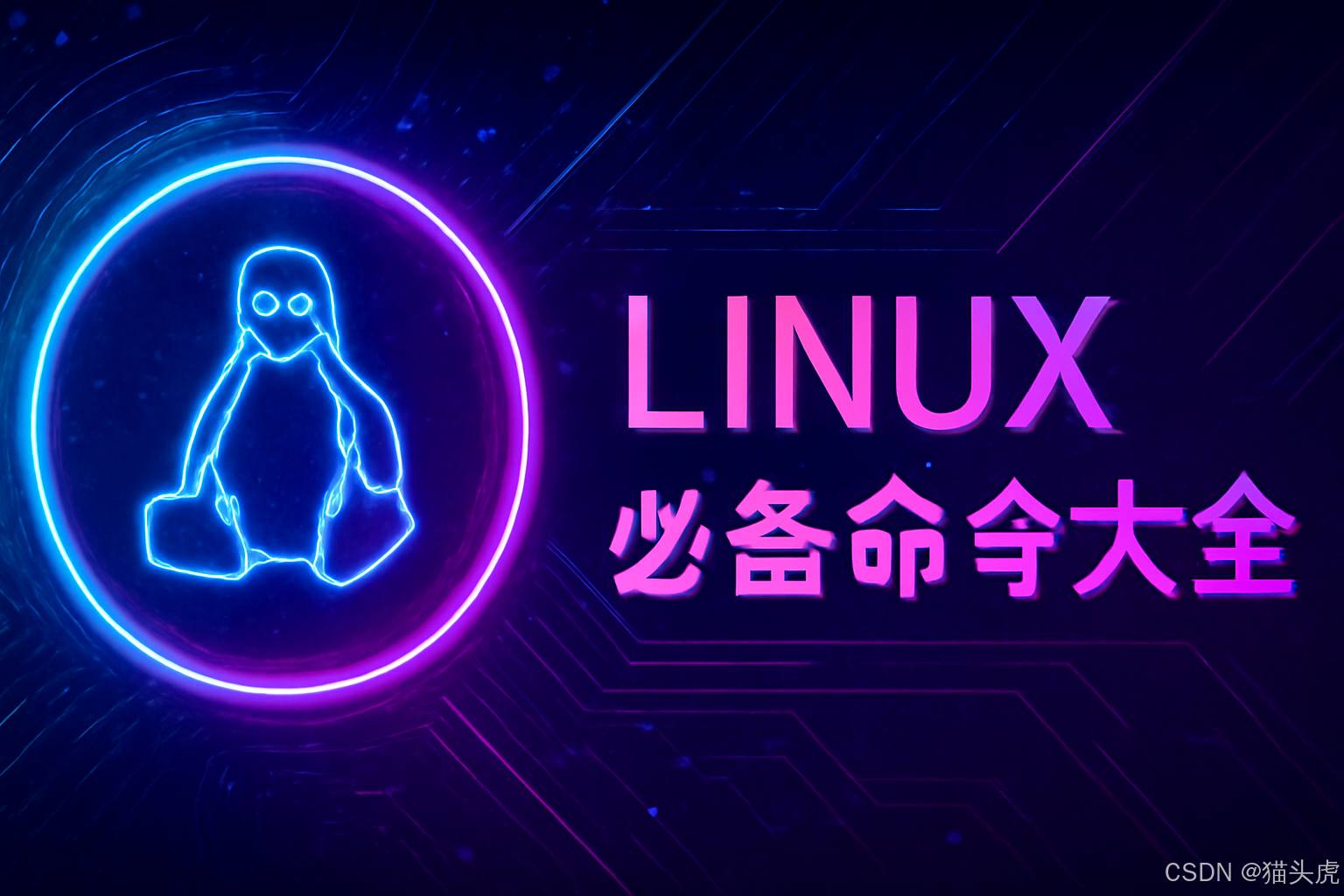 2025最新职场服务器Linux常用操作命令大全