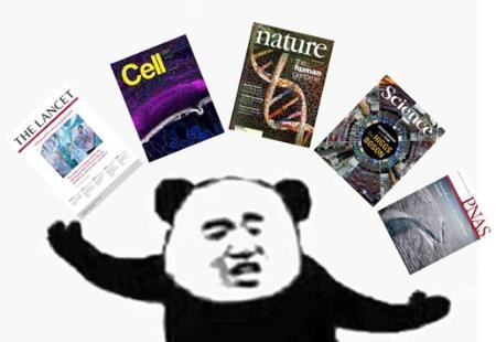 文章图片