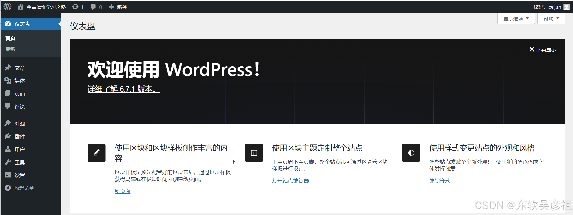 利用 LNMP 实现 WordPress 站点搭建