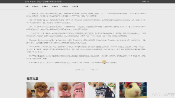 文章图片