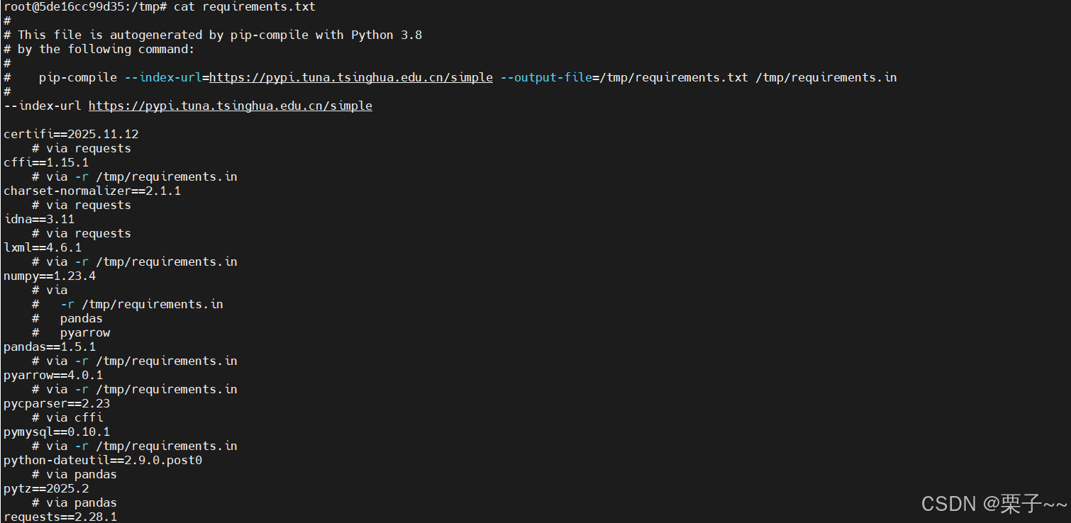 python 版本依赖管理-基础镜像工具制作-CSDN博客
