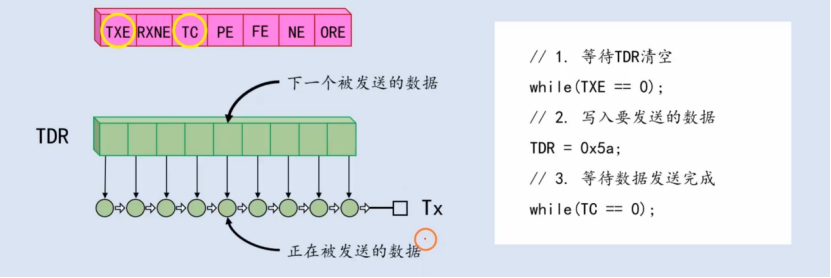 【STM32】江科大STM32小白养成记