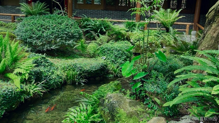 文章图片