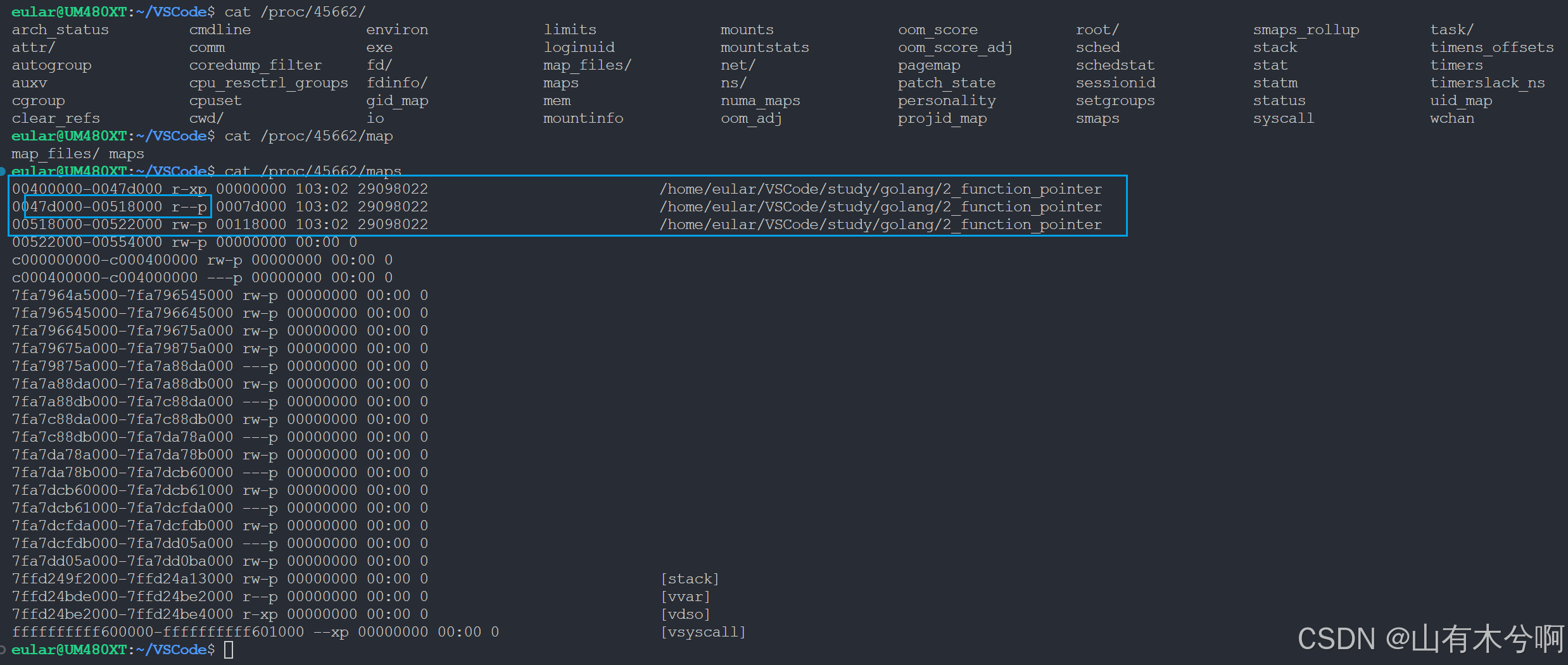 golang 字符串浅析