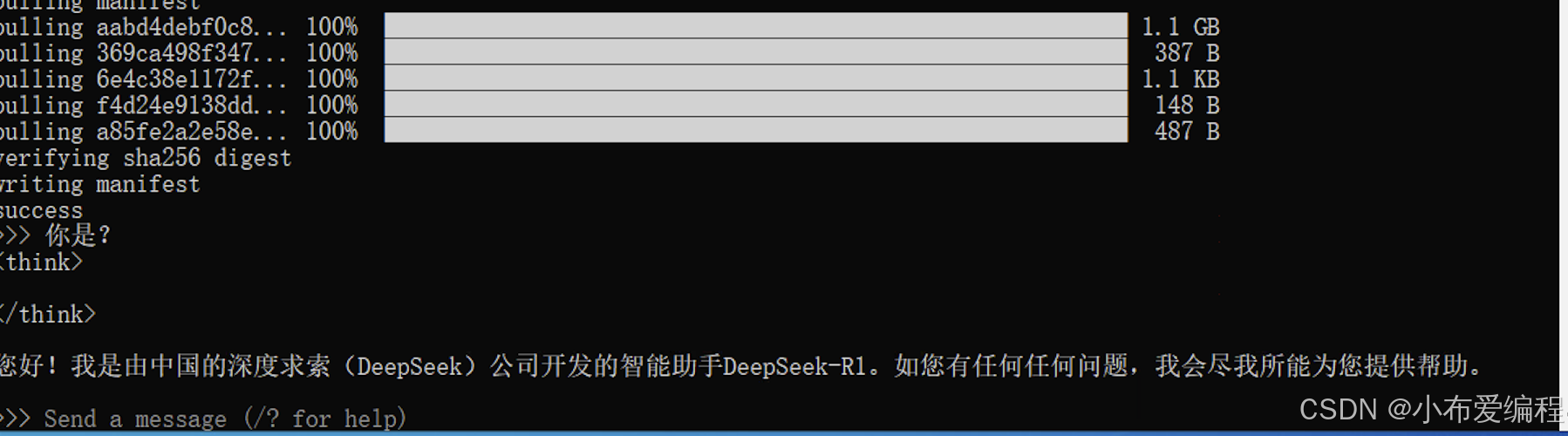 deepseek本地部署