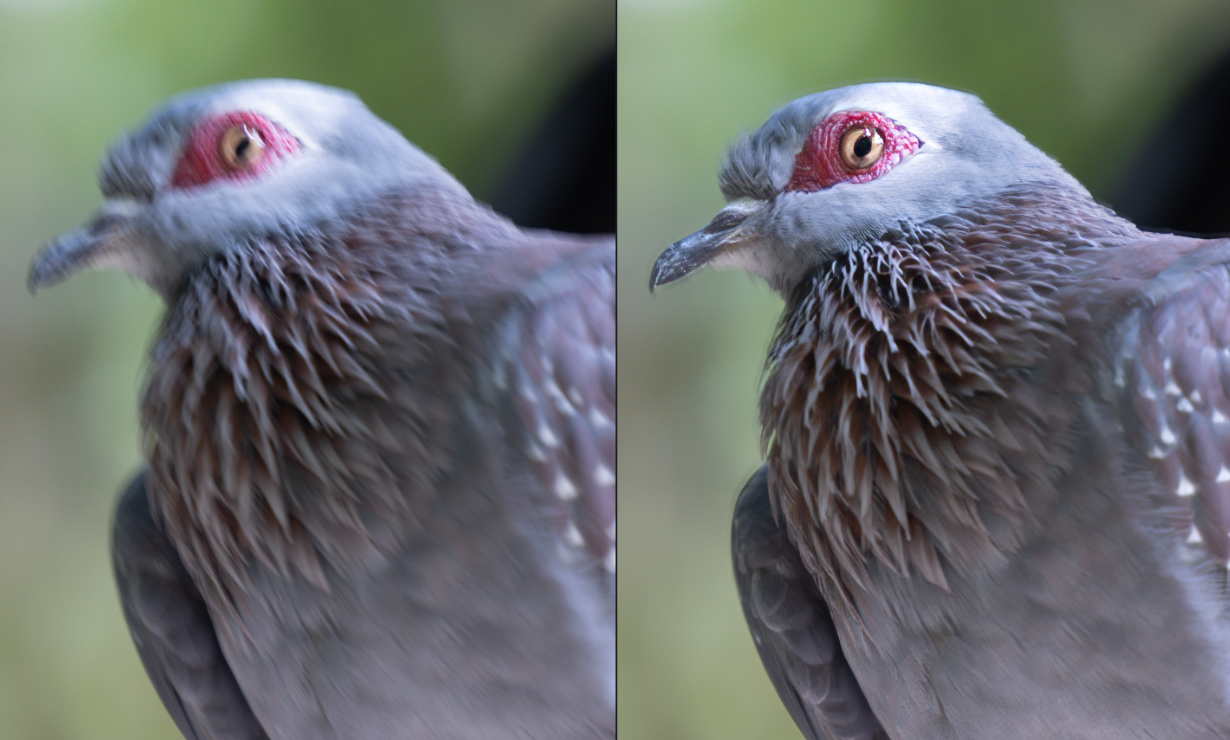 Topaz Photo AI4.0（简体中文汉化版）一款人工智能AI模糊图片变清晰软件_topaz photo ai 4