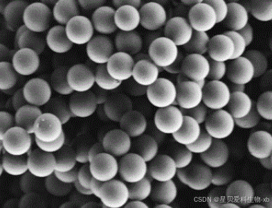 羧基修饰的荧光PS微球|COOH@PS Fluorescent microspheres-CSDN博客