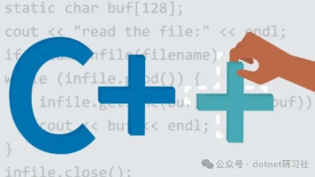 文章图片