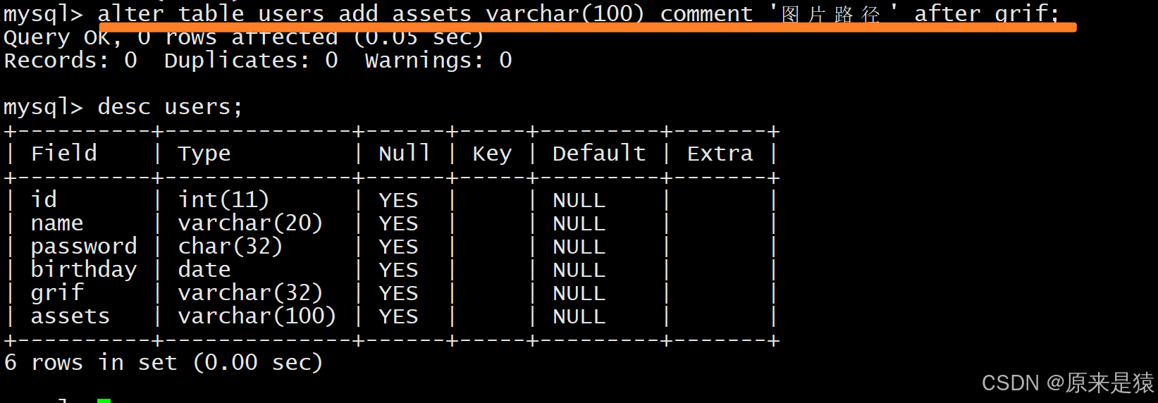 MYSQL【表操作】-CSDN博客