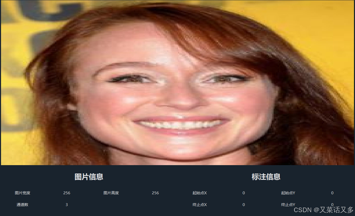 点击单张图片后会在界面中央显示该图片的信息以及标注细节