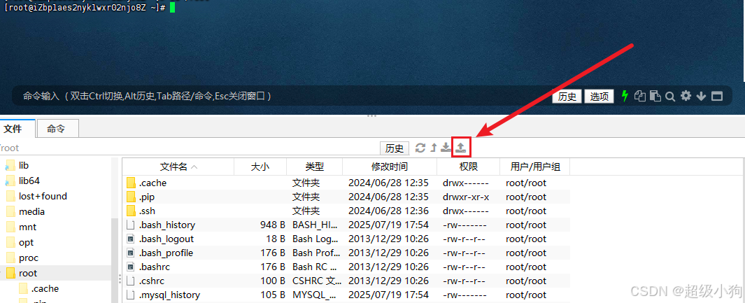 在这里插入图片描述