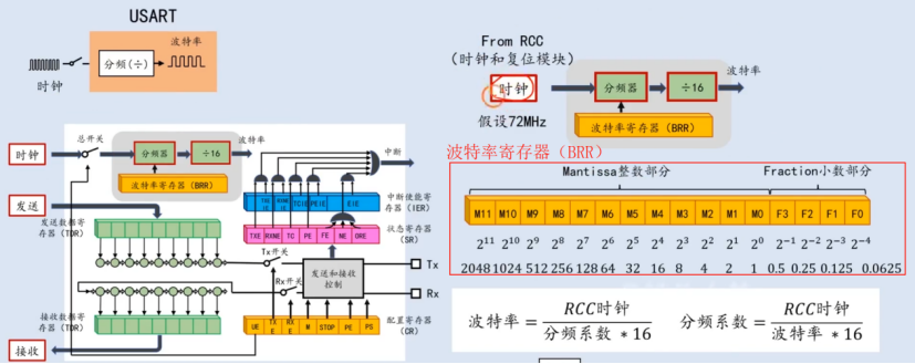 【STM32】江科大STM32小白养成记