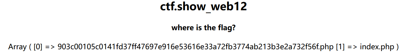 ctf.show web