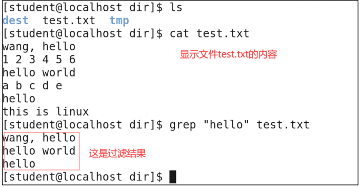 Linux 入门到实战・学习笔记系列--2.Linux常用命令-CSDN博客