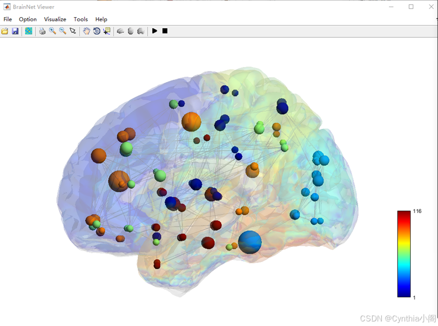 BrainNet Viewer中选择不同模板的surface file所呈现的不同效果对比_brainnet viewer surface文件 ...