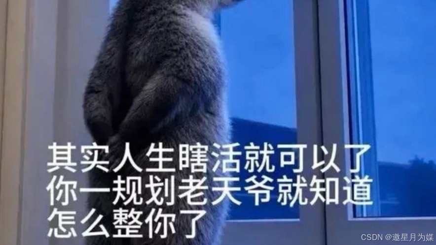 文章图片