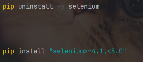 TypeError: WebDriver.__init__() got an unexpected keyword argument ...