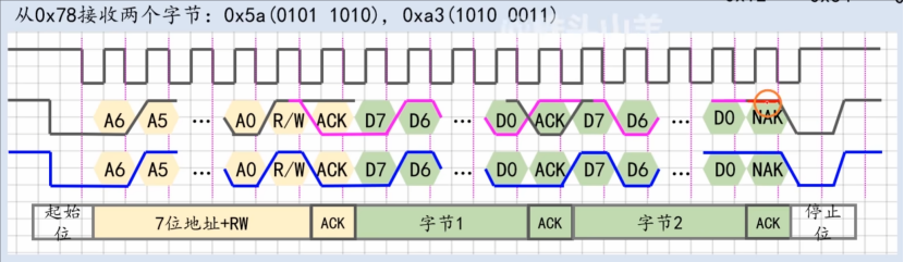 【STM32】江科大STM32小白养成记