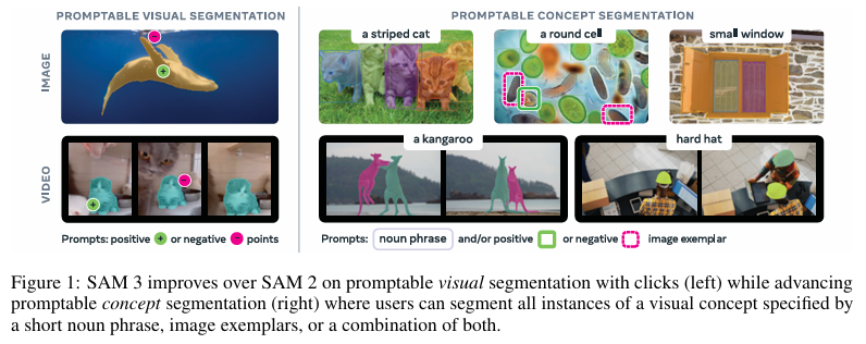 SAM 3 概念分割示例,SAM 3能够根据短语提示(右侧“a striped cat”)分割出图中所有符合概念的实例