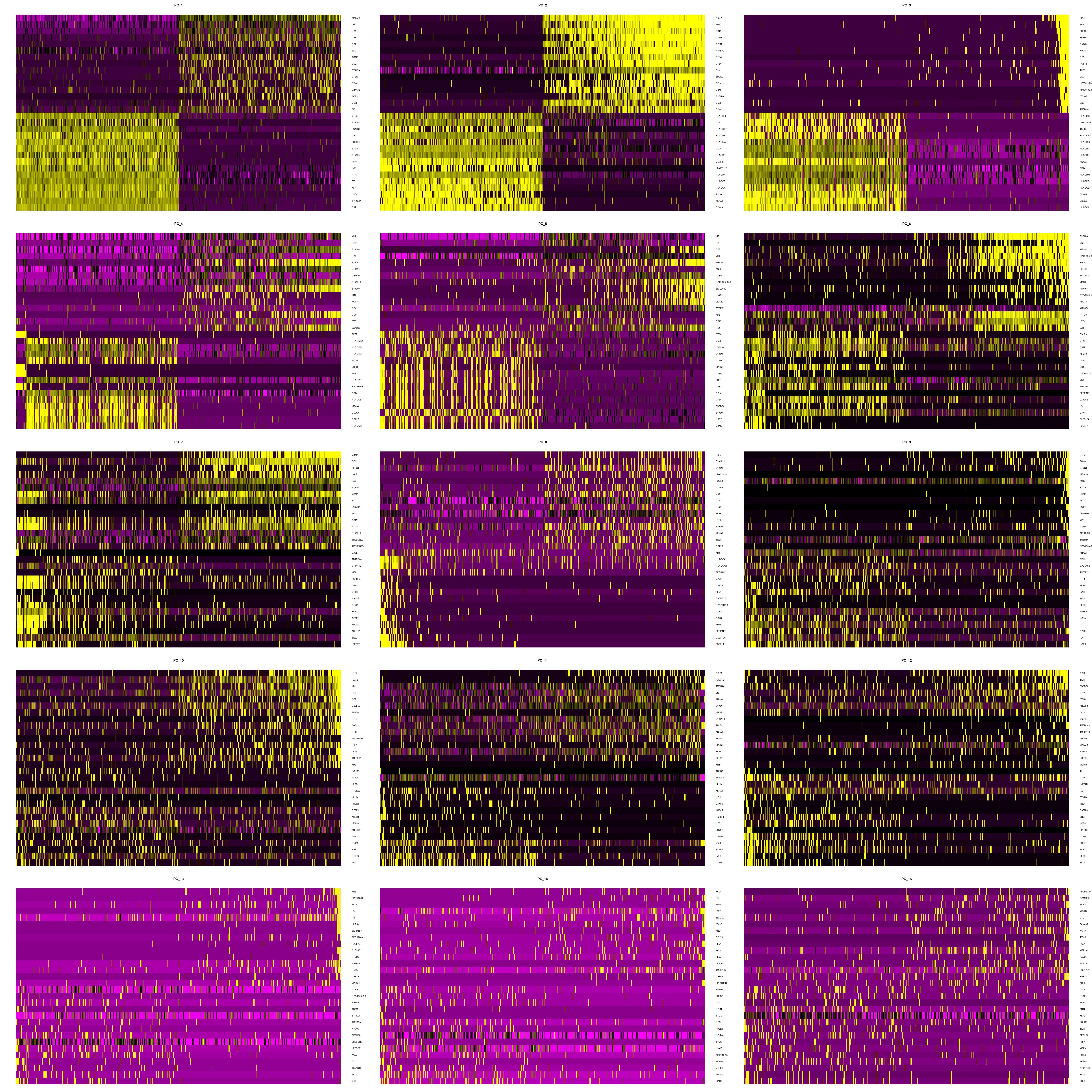 DimHeatmap