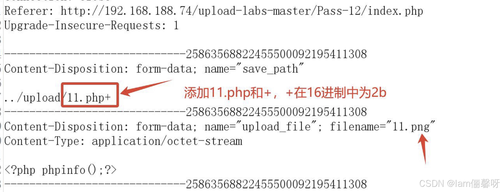 No.21 笔记 | WEB安全 - 任意文件绕过详解 part 3