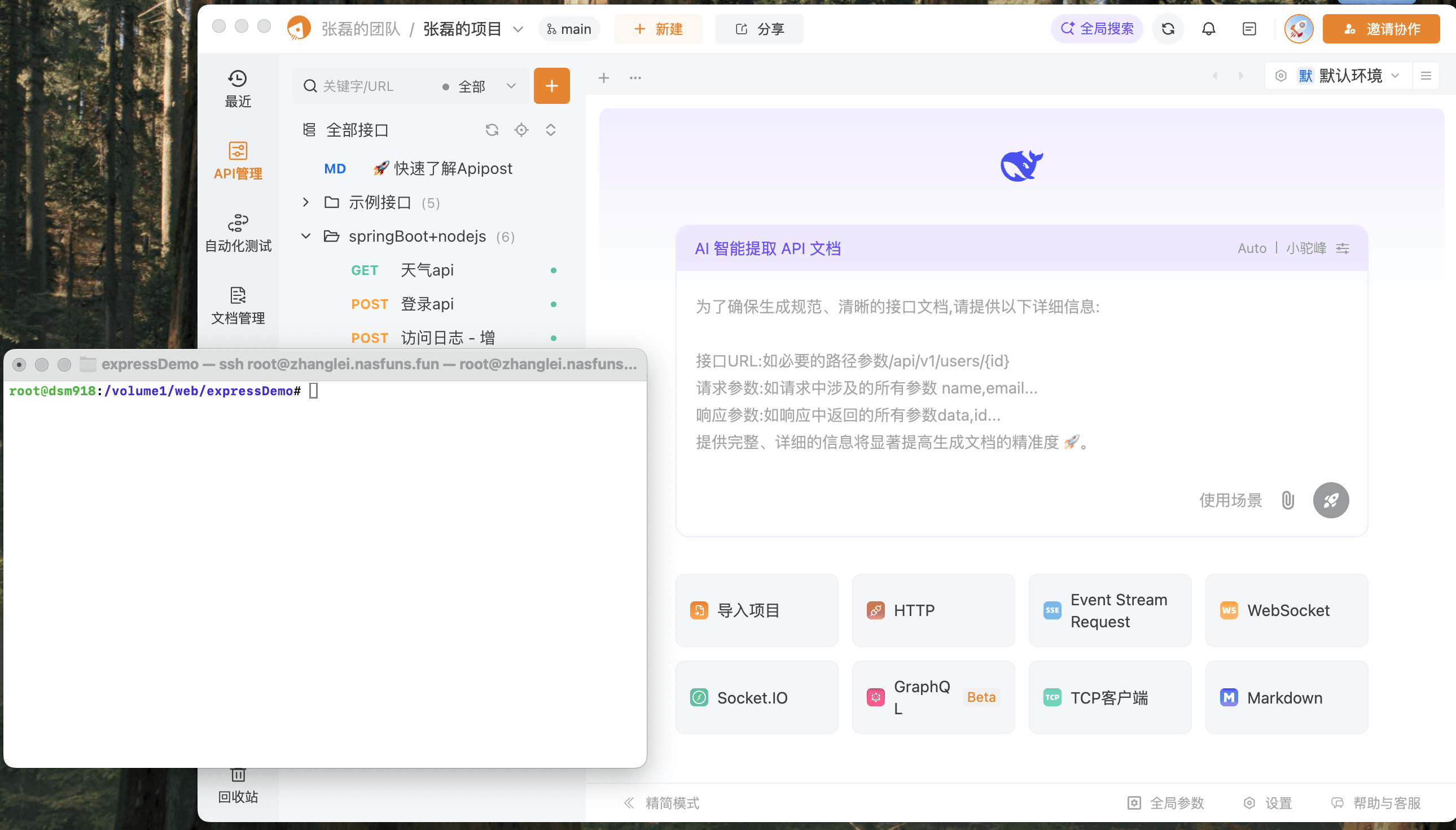 演示效果
