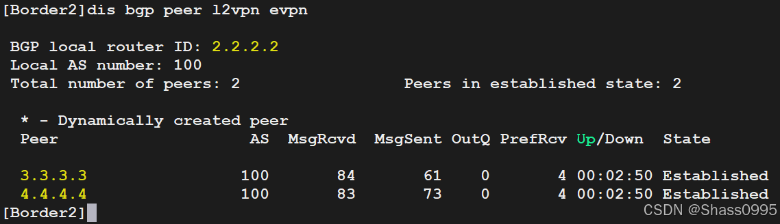 Border2_L2VPN_EVPN_PEER