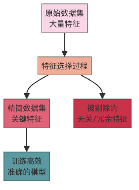 图1：特征选择的精简之旅：从数据"减肥"到模型高效