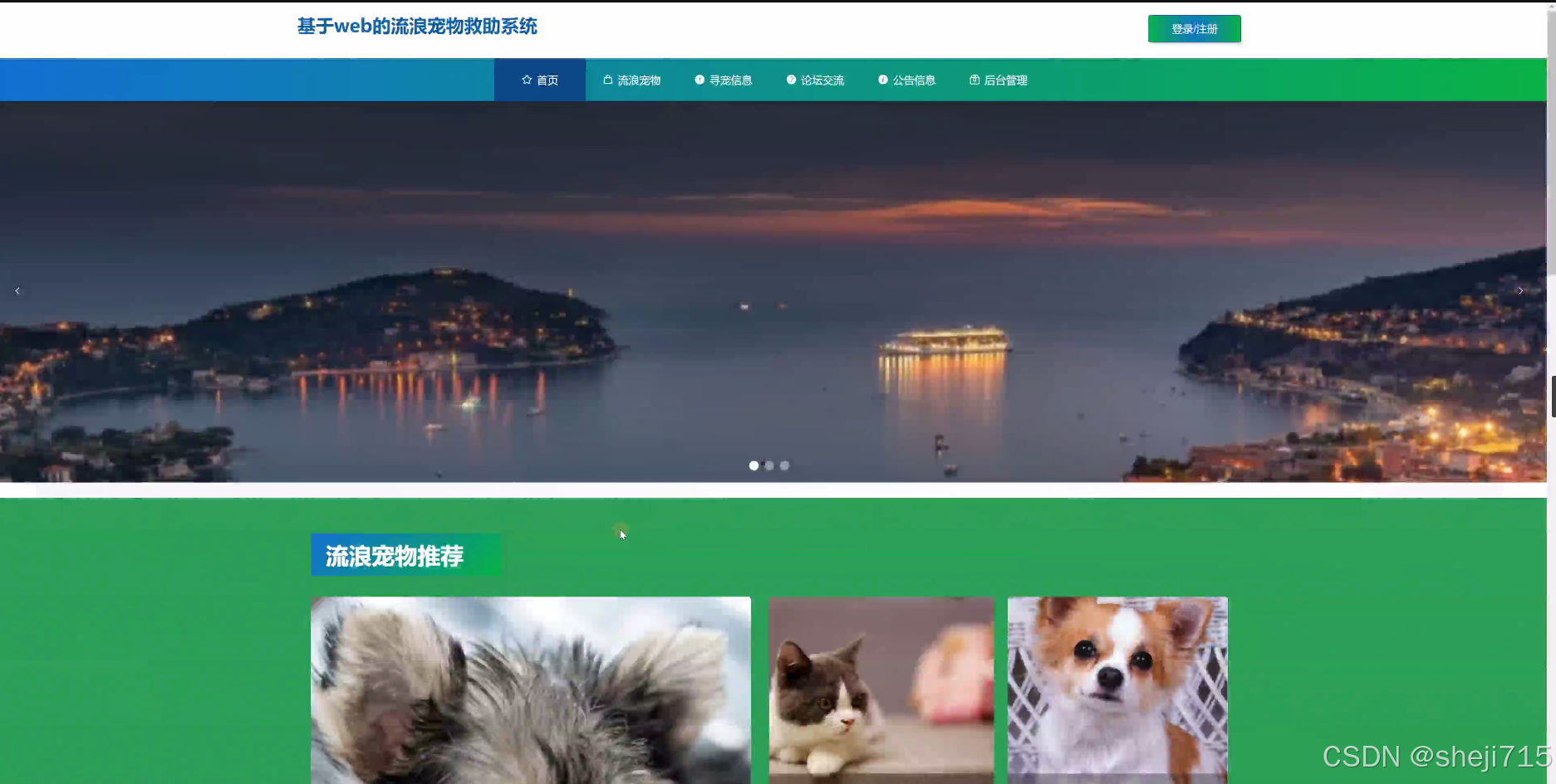 [附开题]flask框架的基于web的流浪宠物救助系统cfio4（python+源码）-CSDN博客