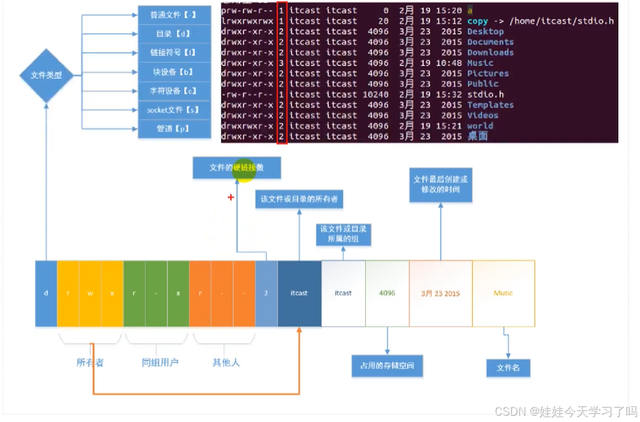 【linux学习】文件类型_lin列出文件类型和相关其它信息(找到五种不同的文件)-CSDN博客