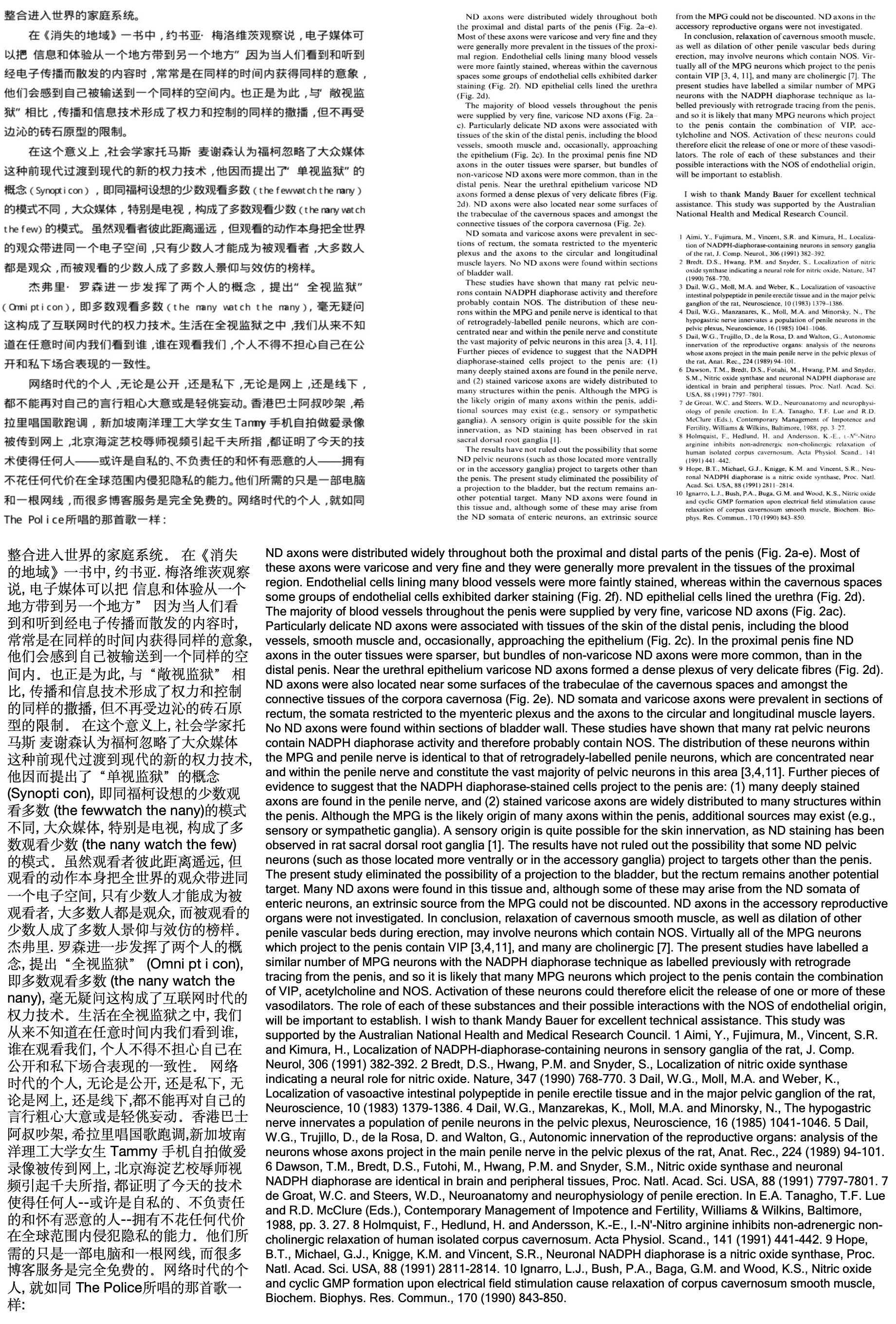 PDF 文档抽取示例