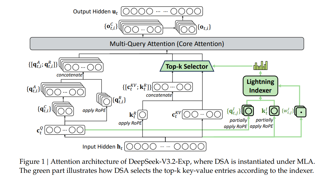 Attention architecture of DeepSeek-V3.2-Exp