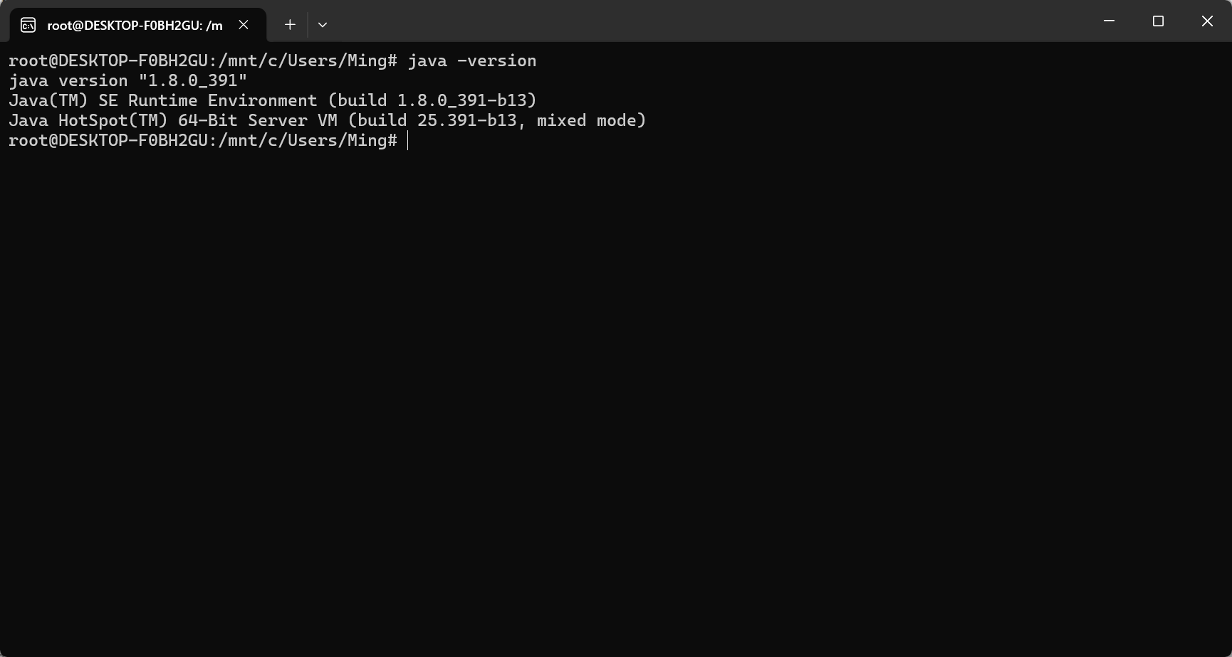 java -version 输出截图