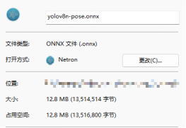 图九对应onnx格式模型大小