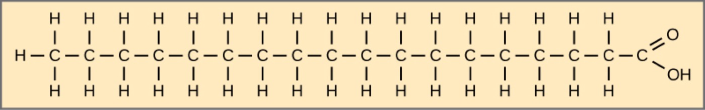 图:Figure 03 人形机器人，Figure 正在为它训练端到端具身模型 Helix