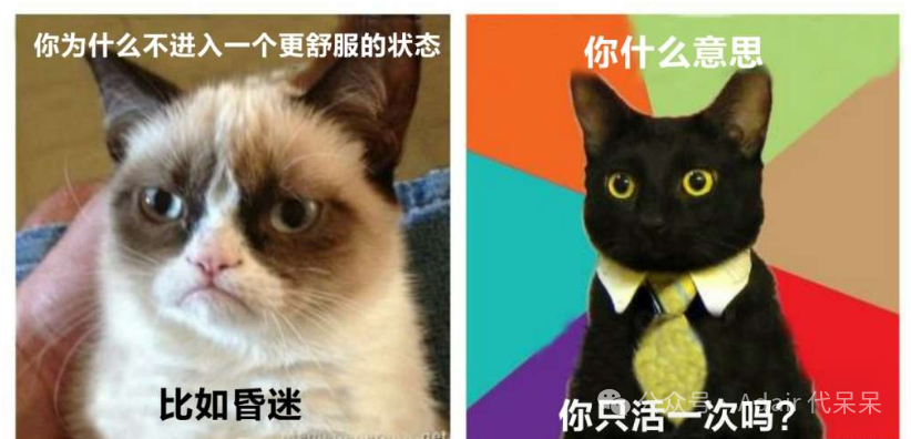 图片的 模因例子