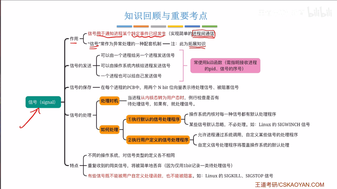 知识回顾与重要考点