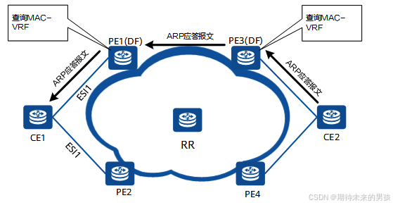 **单播流量转发示意图**