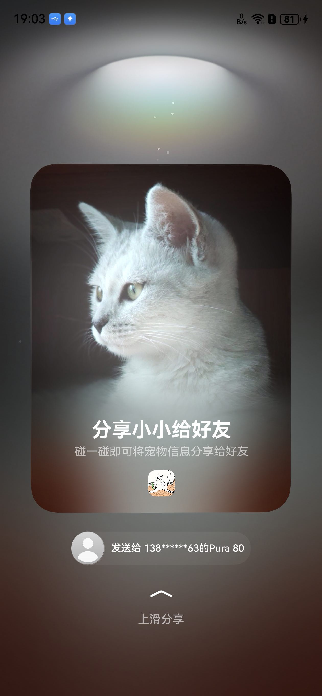 碰一碰后触发的分享界面