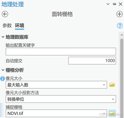 面转栅格 - 设置捕捉栅格