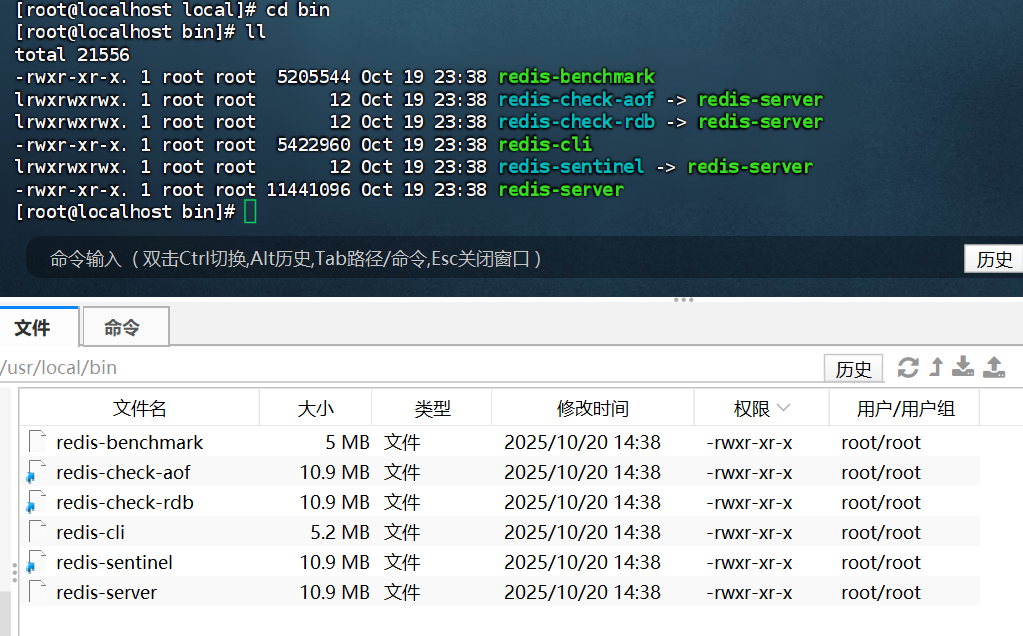 image-20251020144724833