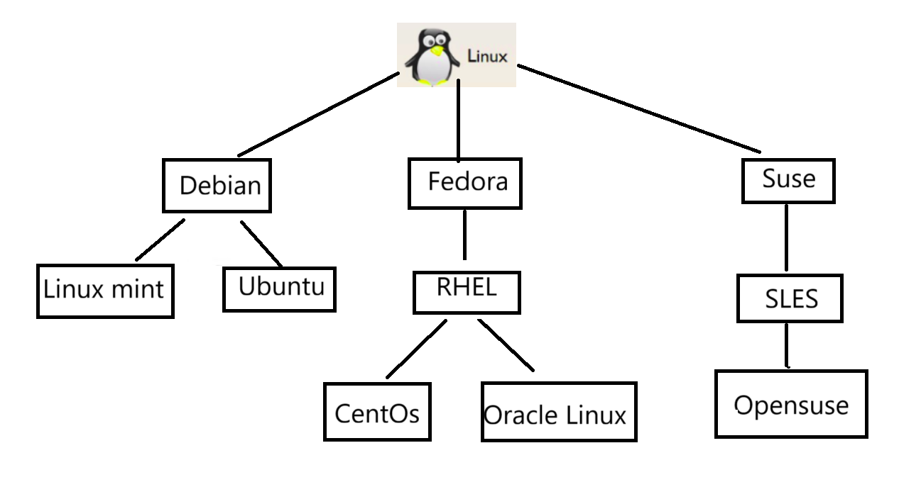 Linux 发展史:从学生项目到全球科技基石-CSDN博客