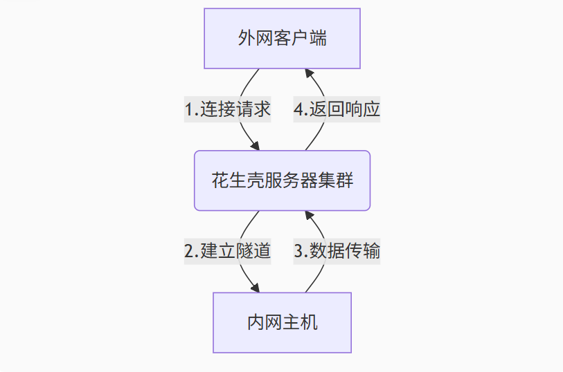 花生壳内网穿透完全指南：原理、配置与应用场景详解（包含下载安装保姆式教程）