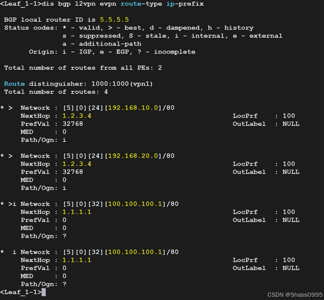 Leaf_1-1_bgp-l2vpn-evpn_Type5_Routes