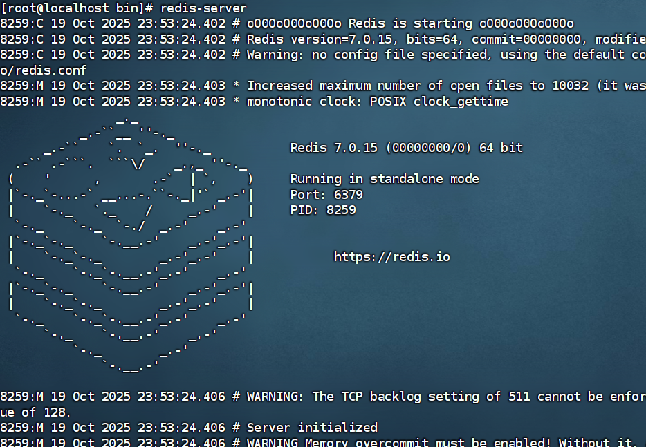 image-20251020145354655