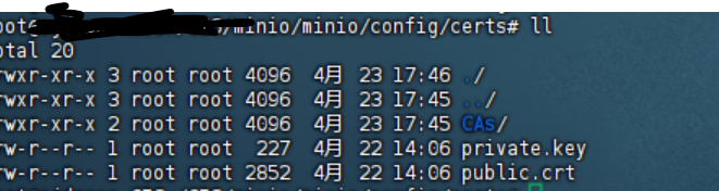 minio配置https_minio配置ssl证书