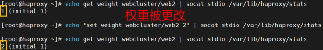 haproxy的算法