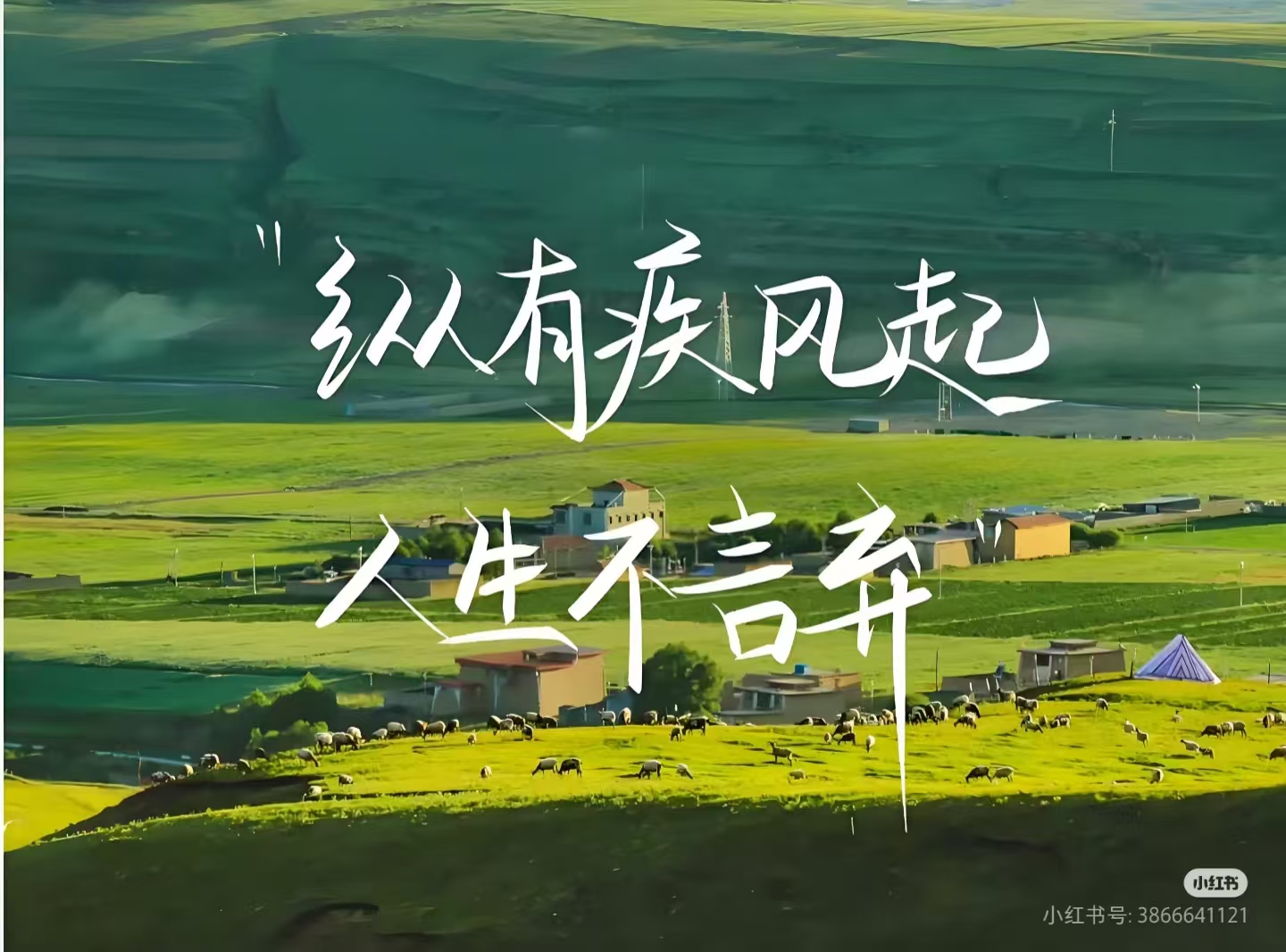文章图片
